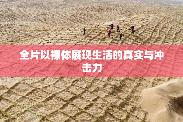 全片以裸体展现生活的真实与冲击力