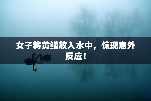 女子将黄鳝放入水中，惊现意外反应！