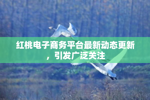 红桃电子商务平台最新动态更新，引发广泛关注