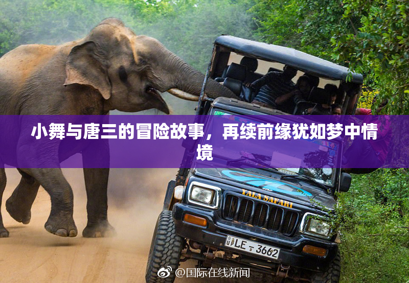 小舞与唐三的冒险故事，再续前缘犹如梦中情境
