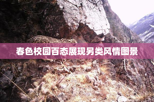 春色校园百态展现另类风情图景