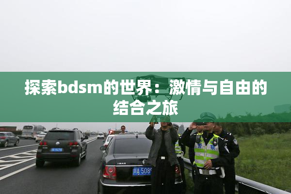 探索bdsm的世界：激情与自由的结合之旅