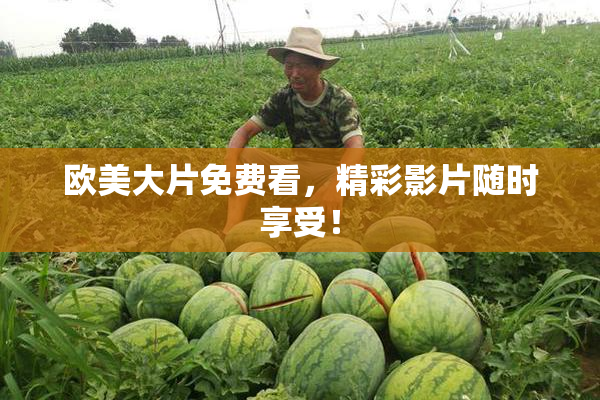 欧美大片免费看，精彩影片随时享受！