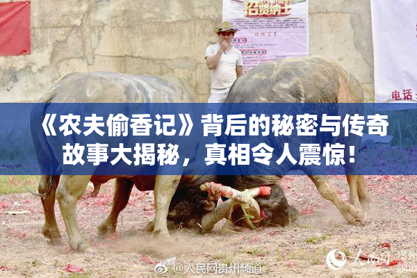 《农夫偷香记》背后的秘密与传奇故事大揭秘，真相令人震惊！