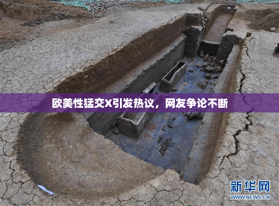欧美性猛交X引发热议，网友争论不断
