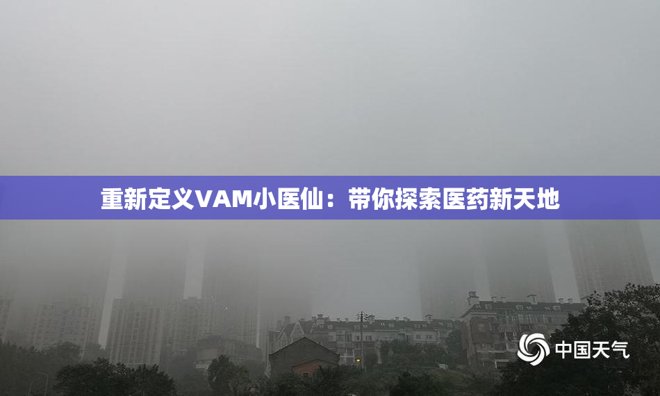 重新定义VAM小医仙：带你探索医药新天地
