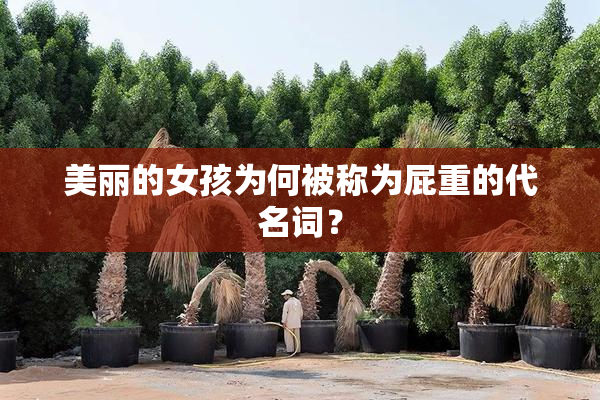 美丽的女孩为何被称为屁重的代名词？