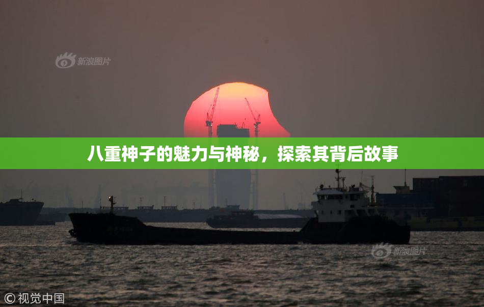 八重神子的魅力与神秘，探索其背后故事