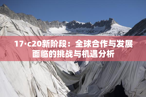 17·c20新阶段：全球合作与发展面临的挑战与机遇分析