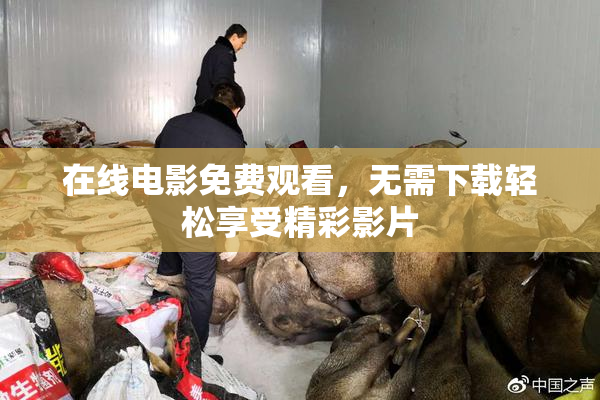 在线电影免费观看，无需下载轻松享受精彩影片