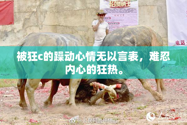 被狂c的躁动心情无以言表，难忍内心的狂热。