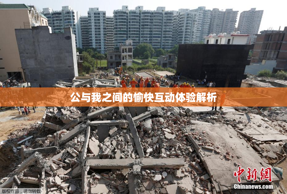 公与我之间的愉快互动体验解析