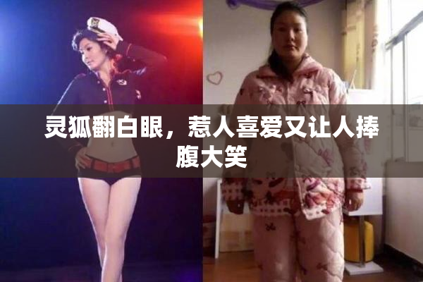 灵狐翻白眼，惹人喜爱又让人捧腹大笑