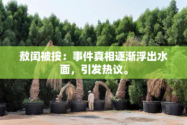 敖闰被按：事件真相逐渐浮出水面，引发热议。