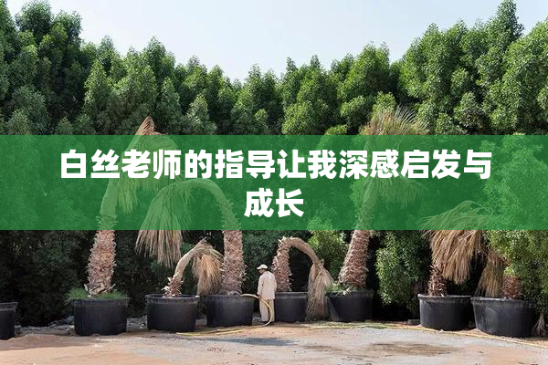 白丝老师的指导让我深感启发与成长