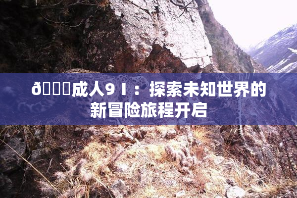 🔞成人9Ⅰ：探索未知世界的新冒险旅程开启