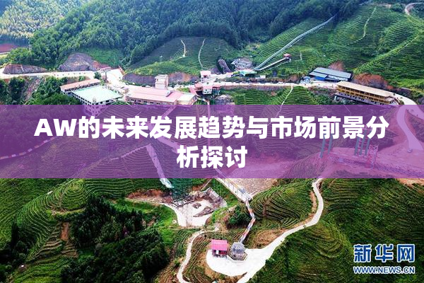 AW的未来发展趋势与市场前景分析探讨