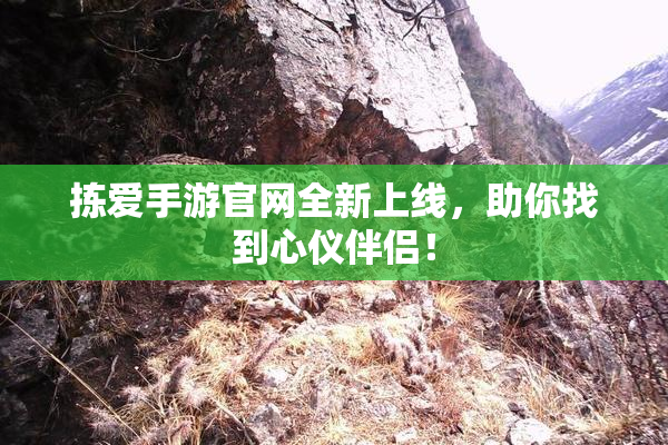 拣爱手游官网全新上线，助你找到心仪伴侣！