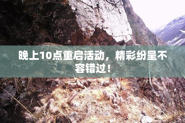 晚上10点重启活动，精彩纷呈不容错过！