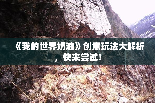 《我的世界奶油》创意玩法大解析，快来尝试！