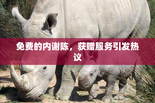 免费的内谢陈，获赠服务引发热议