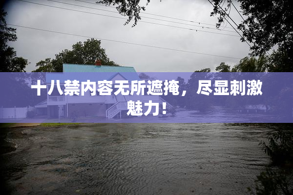 十八禁内容无所遮掩，尽显刺激魅力！