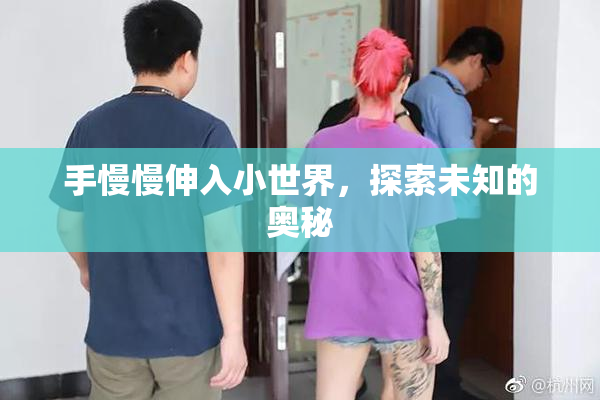 手慢慢伸入小世界，探索未知的奥秘