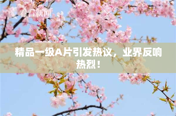 精品一级A片引发热议，业界反响热烈！