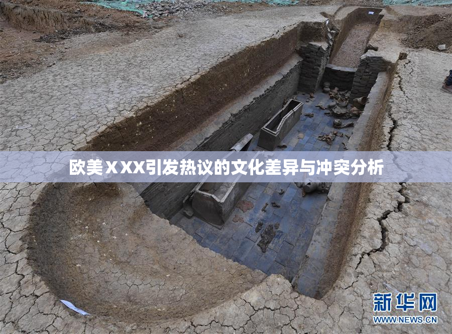 欧美ⅩXX引发热议的文化差异与冲突分析