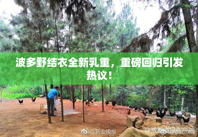 波多野结衣全新乳重，重磅回归引发热议！