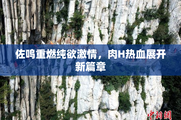 佐鸣重燃纯欲激情，肉H热血展开新篇章