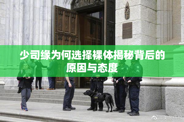 少司缘为何选择裸体揭秘背后的原因与态度