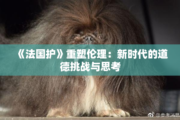 《法国护》重塑伦理：新时代的道德挑战与思考
