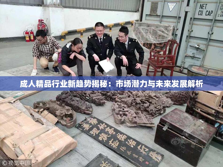 成人精品行业新趋势揭秘：市场潜力与未来发展解析