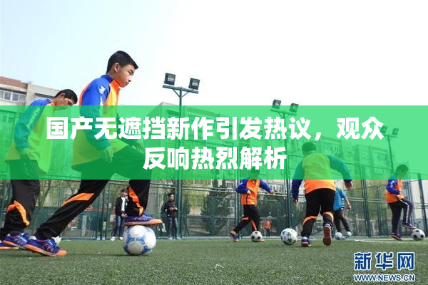 国产无遮挡新作引发热议，观众反响热烈解析