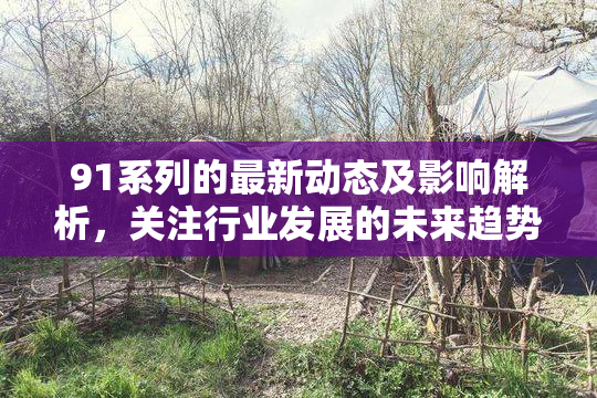 91系列的最新动态及影响解析，关注行业发展的未来趋势。
