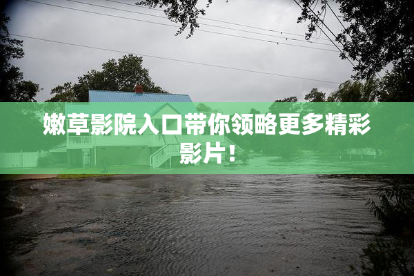 嫩草影院入口带你领略更多精彩影片！