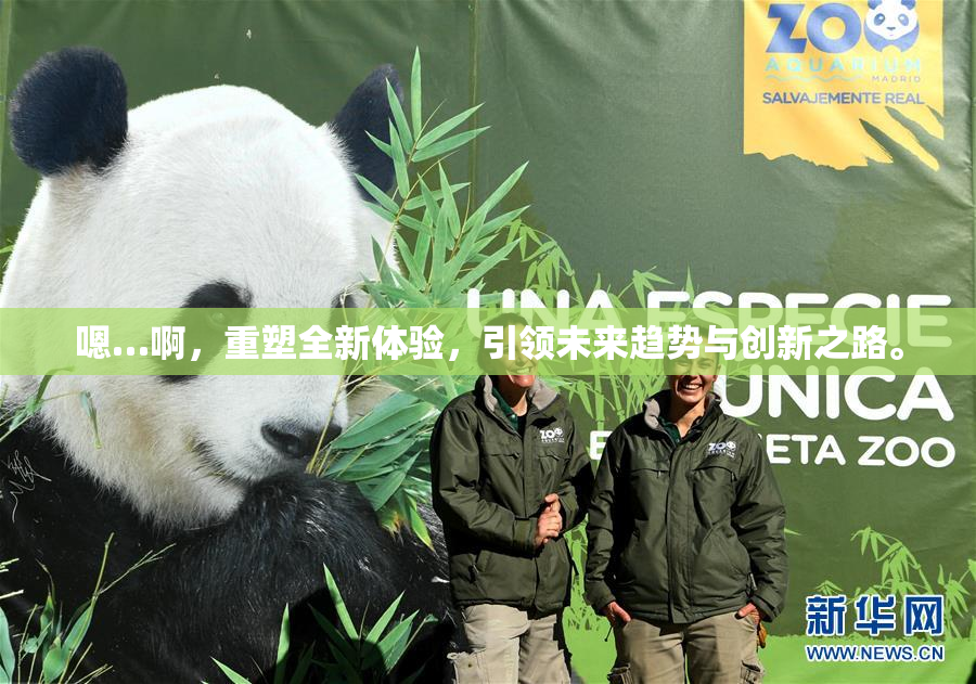 嗯…啊，重塑全新体验，引领未来趋势与创新之路。