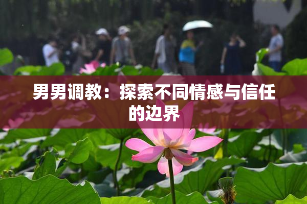 男男调教：探索不同情感与信任的边界