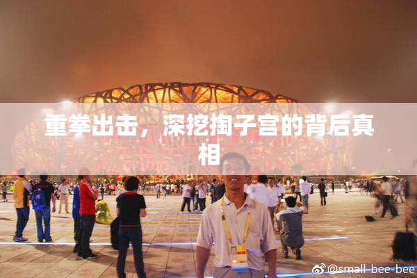 重拳出击，深挖掏子宫的背后真相