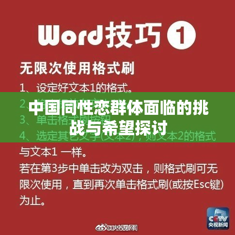 中国同性恋群体面临的挑战与希望探讨