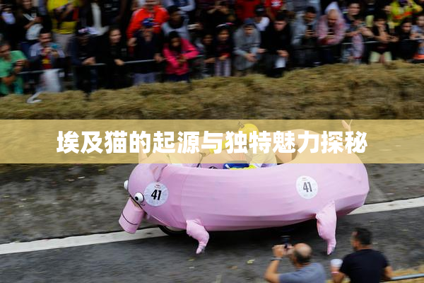 埃及猫的起源与独特魅力探秘