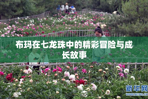 布玛在七龙珠中的精彩冒险与成长故事