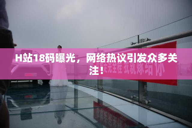 H站18码曝光，网络热议引发众多关注！