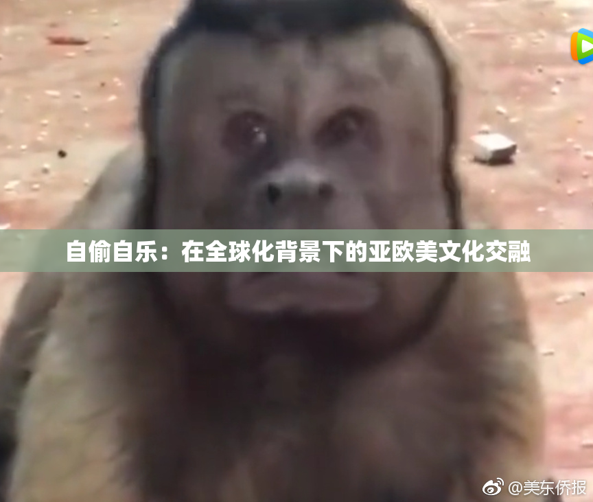 自偷自乐：在全球化背景下的亚欧美文化交融