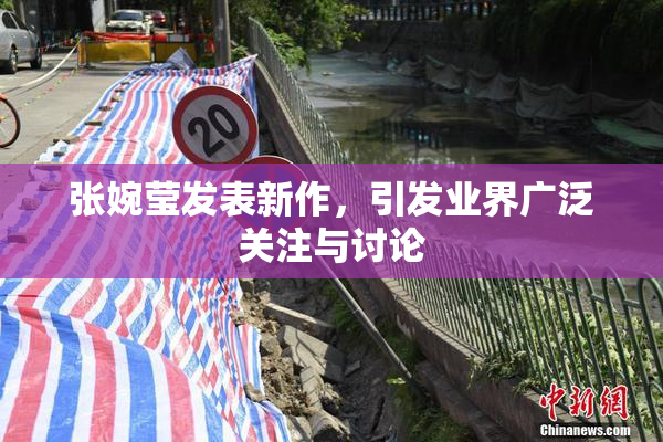 张婉莹发表新作，引发业界广泛关注与讨论