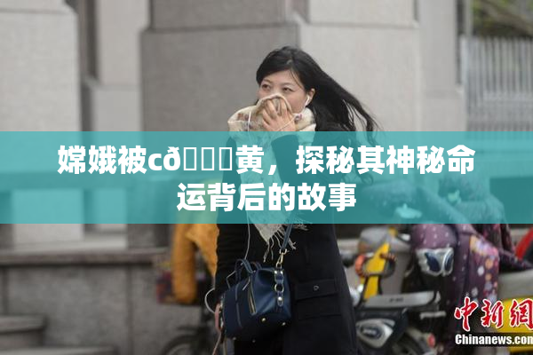 嫦娥被c🔞黄，探秘其神秘命运背后的故事