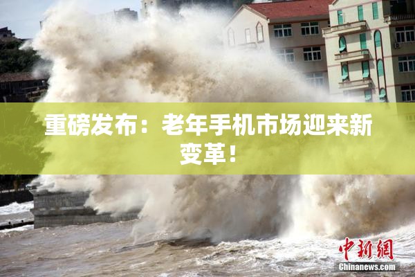 重磅发布：老年手机市场迎来新变革！