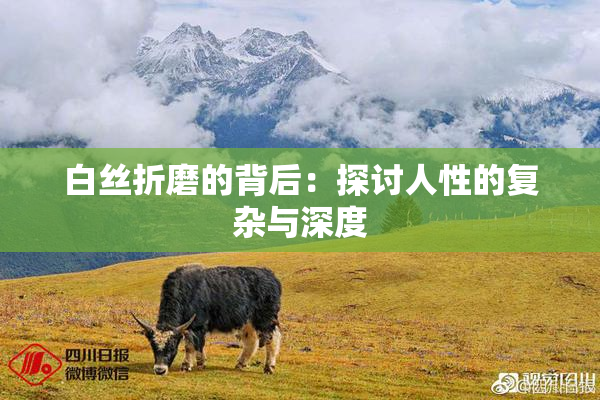白丝折磨的背后：探讨人性的复杂与深度