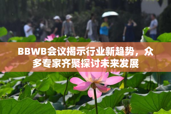 BBWB会议揭示行业新趋势，众多专家齐聚探讨未来发展
